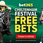 bet365 free bet offer cheltenham